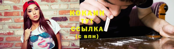 крисы Карпинск