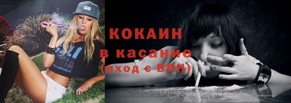 крисы Карпинск