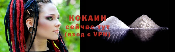 дурь Касимов