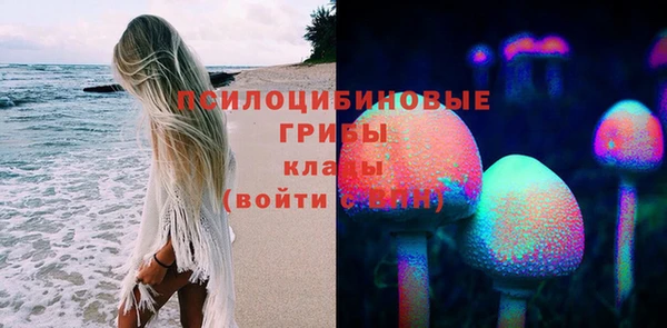 крисы Карпинск