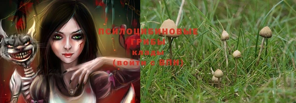 крисы Карпинск